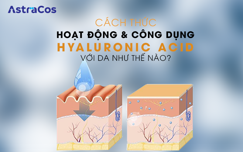 Hyaluronic acid thành phần không thể thiếu trong các sản phẩm dưỡng da