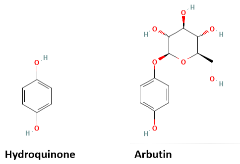 Hydroquinone vs. Arbutin Structure